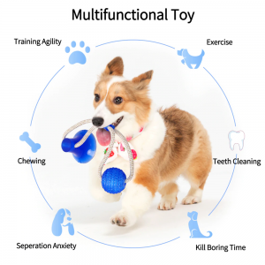 Dog Toy Suction Cup USA