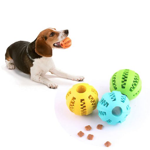 Dog Ball Toys that Small Dogs.